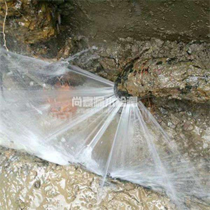 竹溪消防管道漏水检测